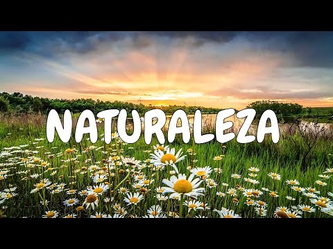 Naturaleza hermosa, paisajes y flores | Landscapes