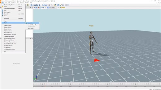 Xsens Tutorial： Exporting a C3D file