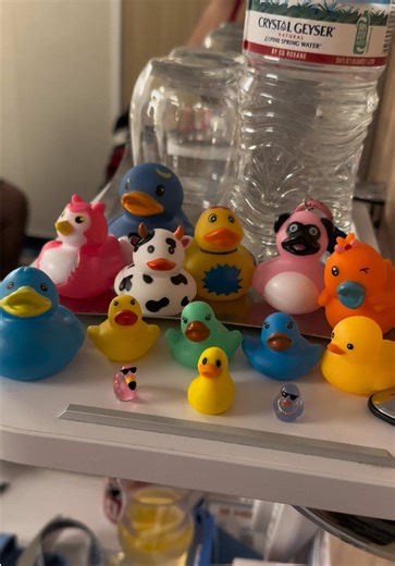 I love duck hunting through my cruise then hiding them before we debark! ❤️ #cruise #cruiseducks #cruiseship #carnival #cruisetok