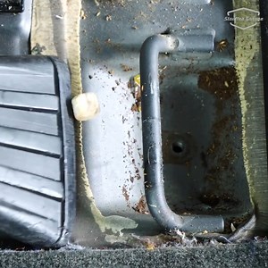 Bug-Filled Honda Odyssey Minivan Cleaning Restoration | DIY - Restoration Garage