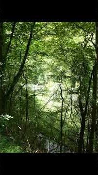 Col de Mezelier Beaux Cols