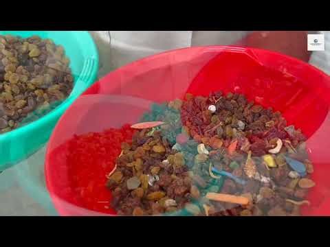Revolutionary AI Raisin Sorting: Smart Belt Color Sorter in Action | Proinspect Systems