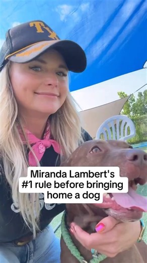 When you visit your local shelter, ask to meet the dogs that have been there the longest 💕