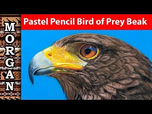 How To Draw Birds Of Prey: Pastel Pencil Guide With Jason Morgan | JasonMorgan.co.uk