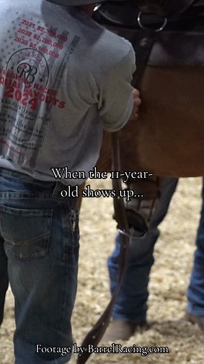 High Sellers at Ruby Buckle Stallion Owners Select Sale