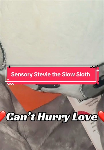 Sensory Issues? High Anxiety? Try Stevie the 5 Pound weighted Sloth, develop for sad, anxious, or sensory sensitive children, it also makes a great gift for an adult, even better if it’s someone you want to show your care but at the same time say can’t hurry love - cuddles - snuggles - peace - security - comfort @Lilly's Love #LillysLove #steviesloth #comfort #weightedplush #sensoryissues anxiety Sadness depression loneliness scared, sad, mental health, developmental, sensory issues, sensory, se
