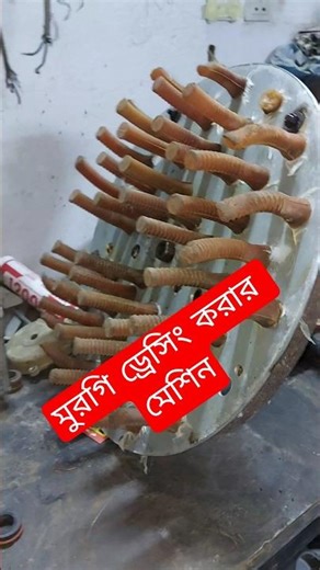 chicken dressing machine. #shorts #YouTube shorts #viral shots