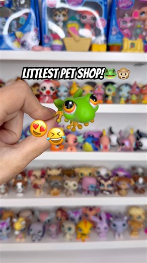 Littlest Pet Shop 🐸🐵🤣 #littlestpetshop #toys #dance #cute #funny #LPS