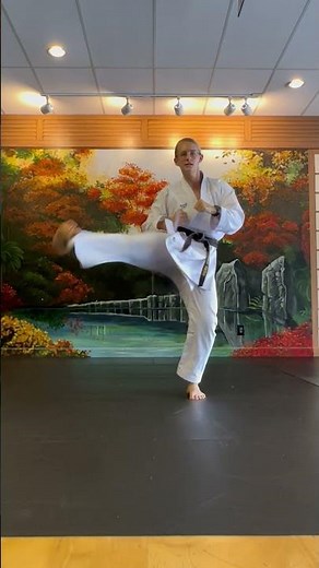 Basic Isshinryu Kicks
