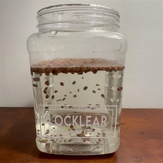 Reel in Results! Locklear Premium Sport Fish feed 🐟🎣