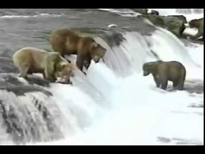 The adventure screen all about bears (Going on a Bear Hunt)