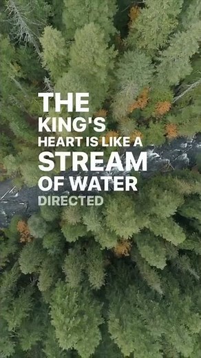 Read the Bible Proverbs 21:1-2 ✝️ 📖 #shorts