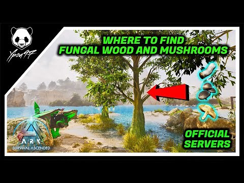 How To Get Fungal Wood And Aberrant Mushrooms In Ragnarok | ARK: Survival Ascended