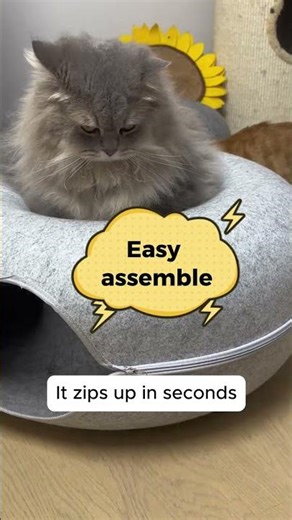 This Bed Saved My Sofa! 😱 Donut Cat Tunnel Review #shorts