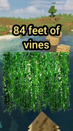 mrpancake4343 on TikTok