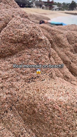 Real Mermaid Sighting on Beach
