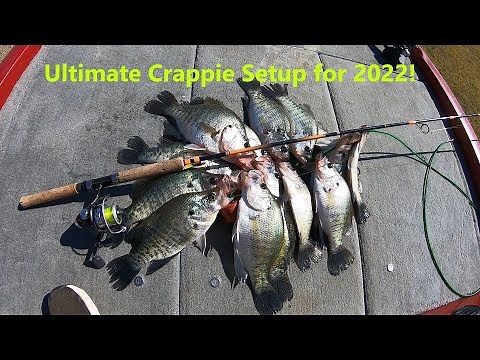 The best crappie fishing setup? Must have rod, reel, line and bait! Fall Crappie Fishing 2022!