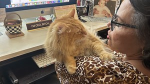 New teen thriller 'Sisters in the Wind' finds drama in hidden identities