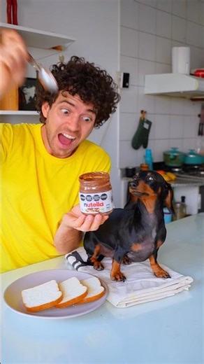La Nutella Infinita 🍫🍩🍪😱 #perrosalchicha