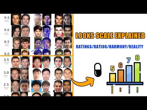 The Complete Looks Scale Explained (Ratings, Ratios, Harmony & Reality)