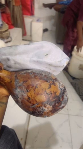 Faniyi Ifariike Egbeloba Toyin on Instagram: "Akose Ifa is needed because it provides personalized guidance and solutions derived from Ifa divination. It offers specific instructions, rituals, and remedies tailored to an individual’s unique spiritual needs and challenges, ensuring a holistic approach to problem-solving, healing, and spiritual development. Akose Ifa works through a combination of divination, ritual, and herbalism. Ifa priests perform divination using the Ifa corpus to identify an