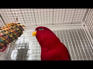 🍅from autumn to winter🍂⛄️