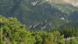 The Mount Nebo Loop Scenic Drive passes through the Uintah National Forest.