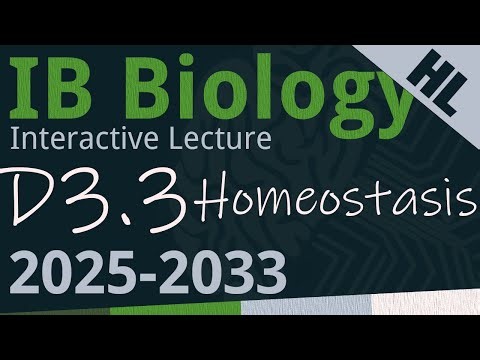 IB Biology D3.3 - Homeostasis [AHL] - Interactive Lecture 2025-2033