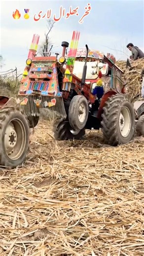 Fiat 640 Tractor | Calm & Confident Trailer Work #foryou #tractorlove #agriculturalmachinery