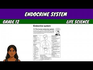 Endocrine System | Grade 12 Life Science