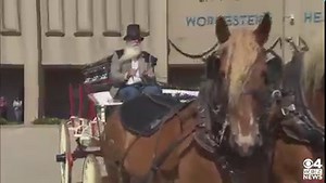 13K views · 380 reactions | A horse-drawn carriage departs Worcester Police headquarters with the body of Officer Manny Familia. Watch live funeral coverage: https://cbsloc.al/3vcvCoP | WBZ / CBS News Boston | Facebook