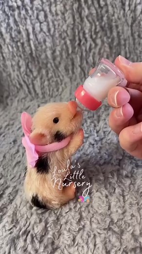 City heaven on TikTok