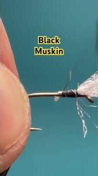 #flytying #flyfishing #fishing black Muskin pupa