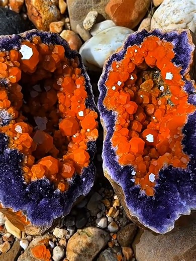 Fiery orange crystals erupting from a velvet purple base. Nature’s masterpiece! #geology @TikTok