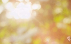 Sorry, we have encountered a problem. - Alexander Street, a ProQuest Company