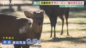 急な“冷えこみ”で体が不調…それ「寒暖差疲労」かも？　朝晩の気温差「7度以上」は危険信号　肩こり、頭痛、不眠、めまい…　『原因』と『対策』を専門家に聞く | 特集 | ニュース | 関西テレビ放送 カンテレ