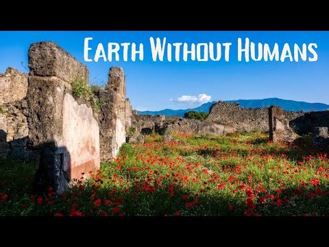 Earth without humans : A Nature’s Comeback