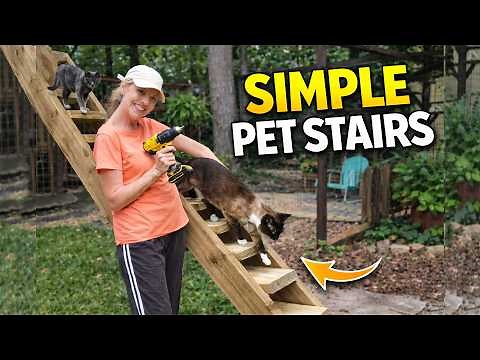 Step-by-Step Whisker DIY Staircase Build: for Home or Catio. 🐈