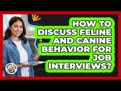 How to Discuss Feline and Canine Behavior for Job Interviews?