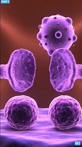 How Cancer Cells Develop | Mutation, Tumor & Metastasis Explained