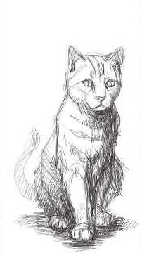 How to Draw a Cute Cat Sitting – Beginner Friendly Drawing Guide