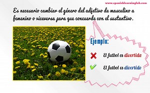 How to Make Adjectives Agree with Nouns in Spanish - Spanish Learning Lab