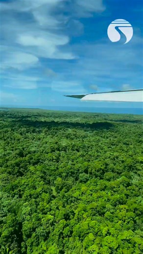 This is where Belize gets wild 🌿 Hidden waterfalls and jungle escapes are waiting Let Tropic Air connect you to the adventure ✈️ | Tropic Air Belize