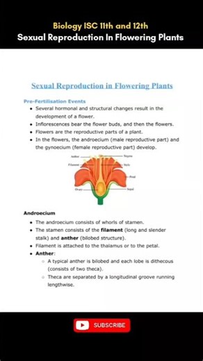 Sexual Reproduction in Flowering Plants – Quick Revision 🔥