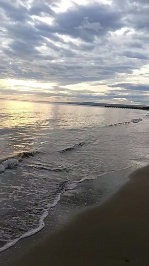 9.6K views · 247 reactions | Buona Domenica da Andrea e Cristina 勺 #domenica #vastomarina #mare #pescheriashark5❤️ | Pescheria SHARK 5 di De Rosa Andrea | Facebook