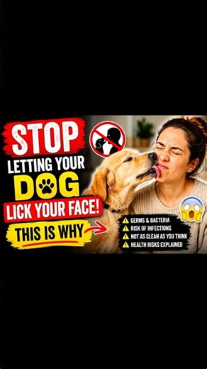 Stop Letting Your Dog Lick Your Face This Is Why
