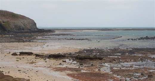 Dicovery: scientists believe mystery fossil is Denisovan, early human ancestor | Africanews