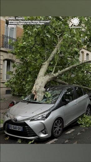 Hurricane-Force Winds, Flooding Hit Paris, France