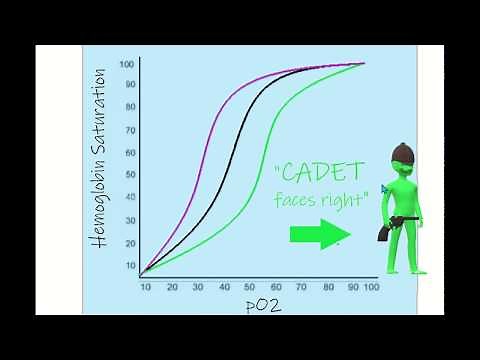 Oxygen-Hemoglobin Dissociation Curve Mnemonic