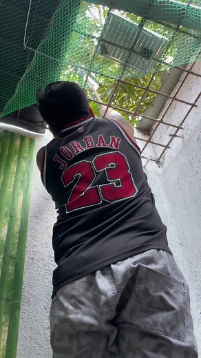 DIY Panungkit ng Mangga Minivlog | Tara Manungkit ng Mangga | Tatay Ric